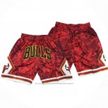 Short Chicago Bulls Special Year of The Tiger Rouge