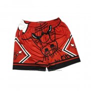 Short Chicago Bulls Mitchell & Ness Big Face Rouge