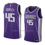 Maillot Sacramento Kings Jack Cooley #45 Icon 2018 Volet