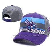 Casquette Charlotte Hornets Volet Gris